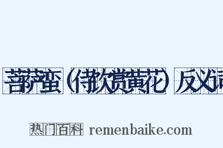 菩萨蛮（侍饮赏黄花）反义词是什么意思的图片